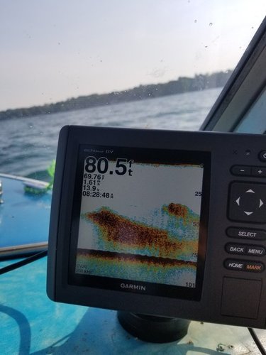 20180701_082849.jpg