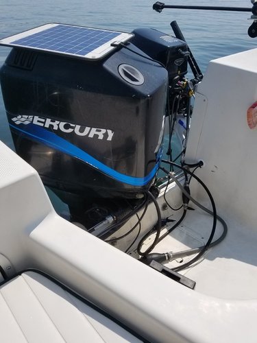 20180701_113619.jpg