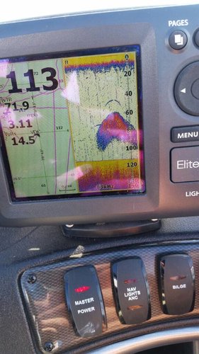 20180703_084525.jpg