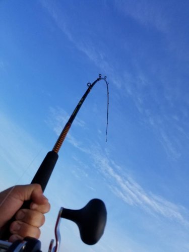 20180714_075916.jpg
