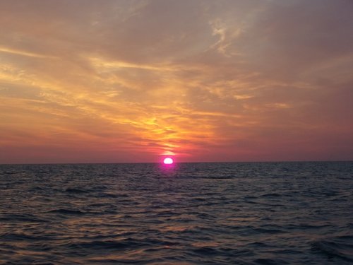 7-30-18b.thumb.JPG.9ef36c0e49b389993542b02a071ff6cb.JPG