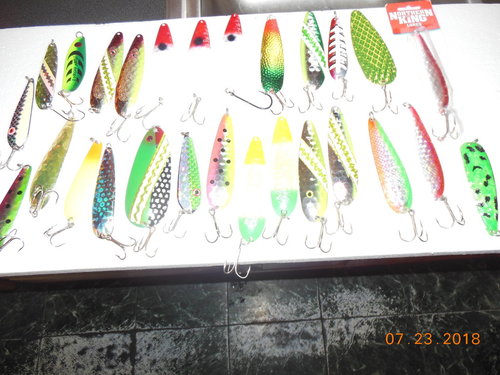DSCN6217.JPG