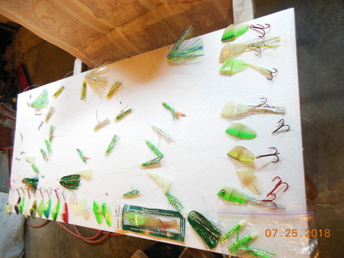 DSCN6219.JPG
