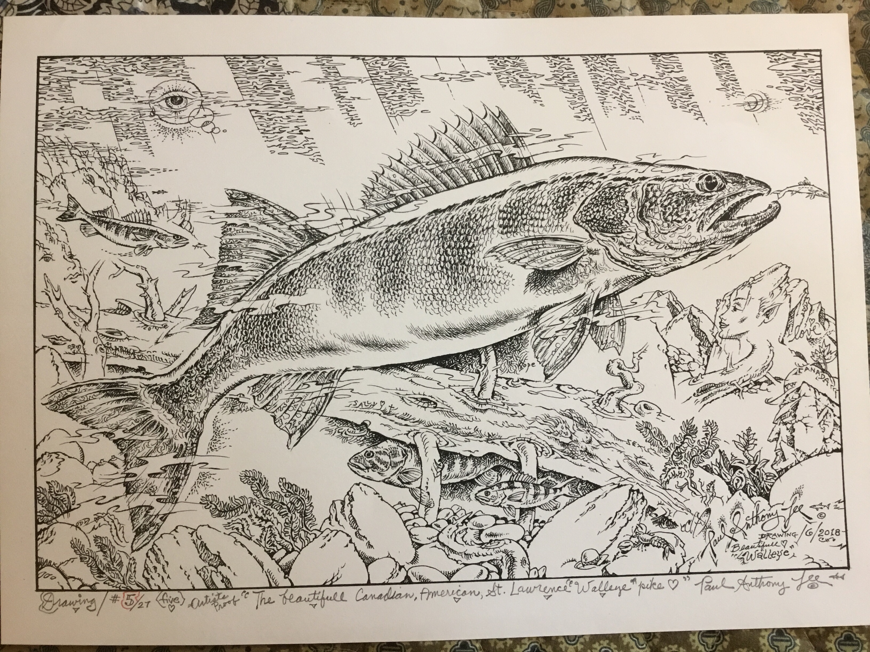 Walleye Drawing - Classifieds - Buy, Sell, Trade or Rent - Lake Ontario  United - Lake Ontario's Largest Fishing & Hunting Community - New York and  Ontario Canada
