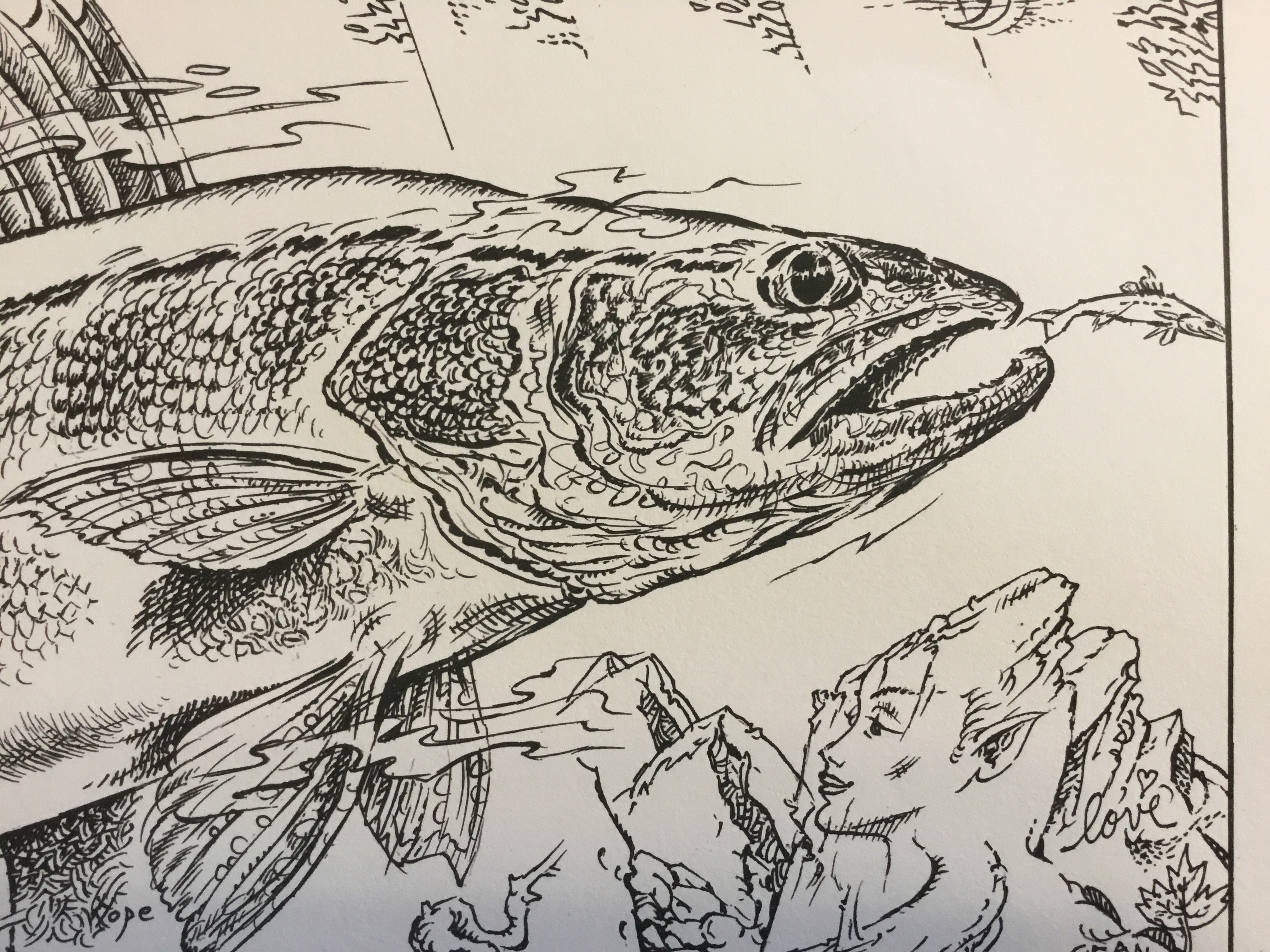 Walleye Drawing - Classifieds - Buy, Sell, Trade or Rent - Lake