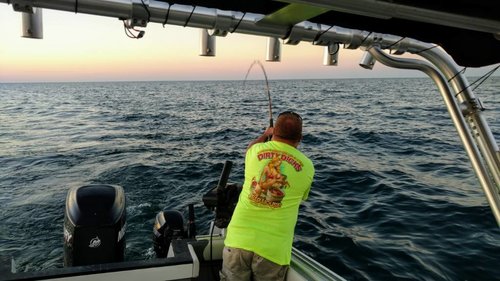 IMG_20180703_205825095_TOP.jpg