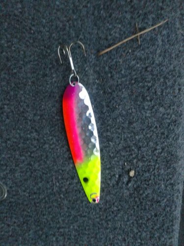 IMG_20180729_205309038_BURST001.jpg