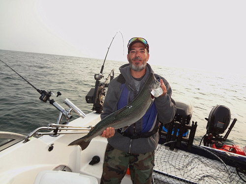 10salmon.jpg