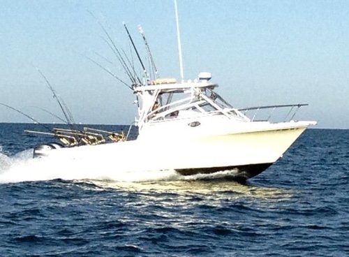 sailfish running.jpg