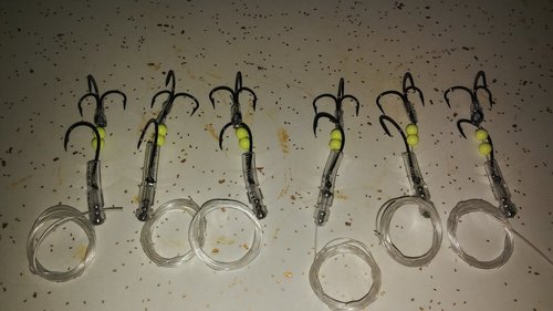 20180806_063457.jpg