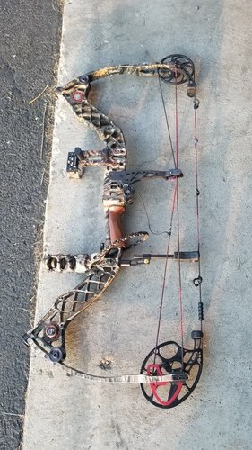 20180807_194017.jpg