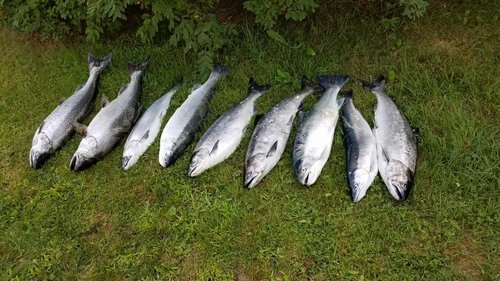 20180811_181456.jpg