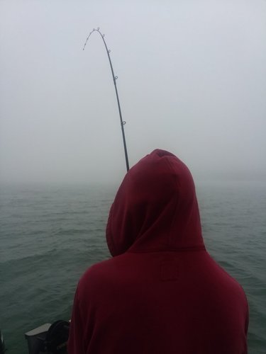 20180812_074551.jpg