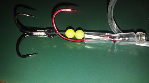 20180818_100544.jpg
