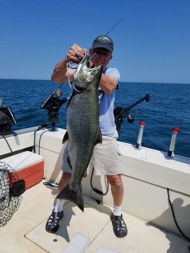 20180824_124241.jpg