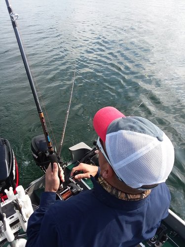 20180831_103125.jpg