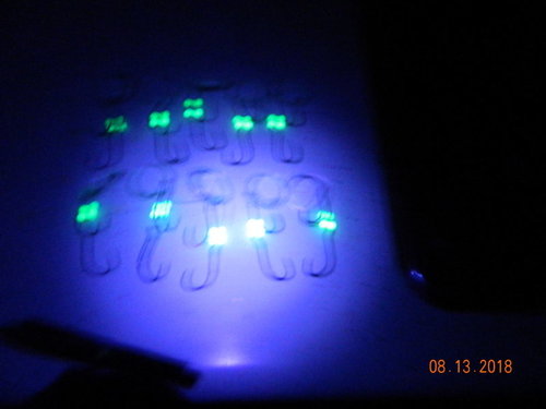 DSCN0766.JPG