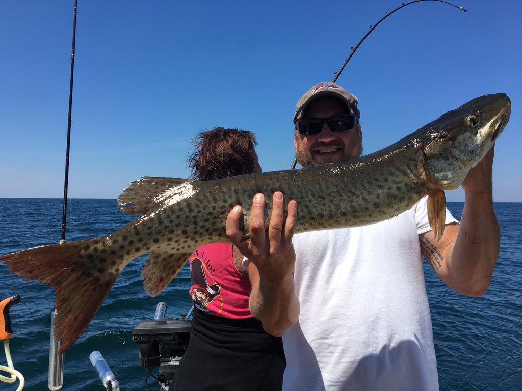 Muskies in central basin of Lake Ontario - Musky, Tiger Musky & Pike (ESOX)  - Lake Ontario United - Lake Ontario's Largest Fishing & Hunting Community  - New York and Ontario Canada