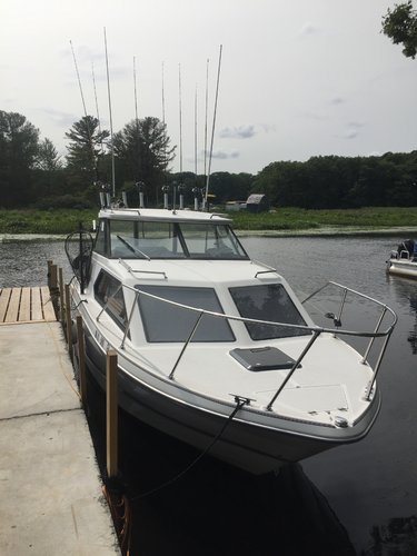 Image1534812716.823499.jpg