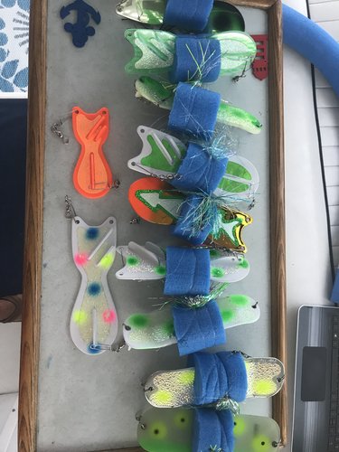 Image1535331343.353354.thumb.jpg.1d01bfa544525b0cf7089f9987390c69.jpg