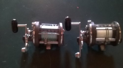 WP_20180819_09_41_55_Pro.jpg