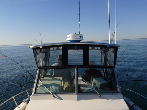 2013-05-04 08.25.40.jpg