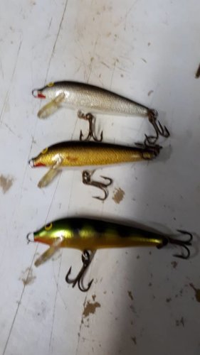 20180822_205548.jpg