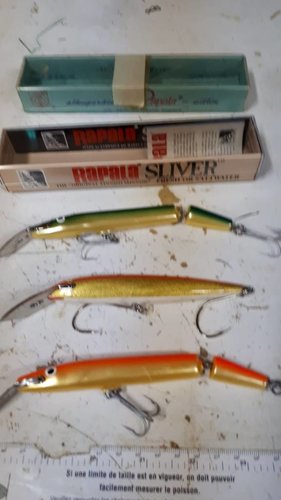 20180822_205758.jpg