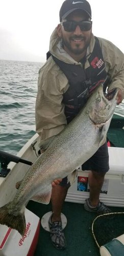 20180831_1620091.jpg