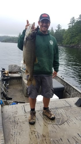 20180901_092630.thumb.jpg.512979c6f0a70cb75b8e38764b0caddb.jpg