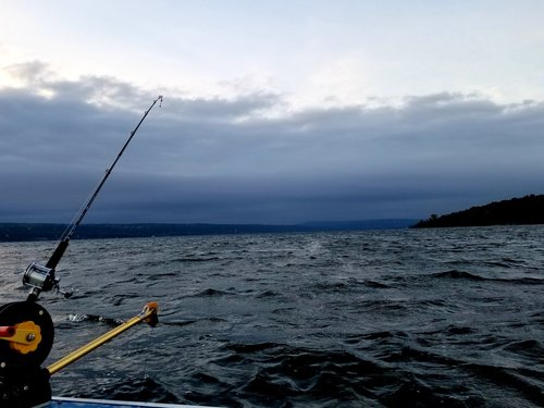20180902_062344.jpg