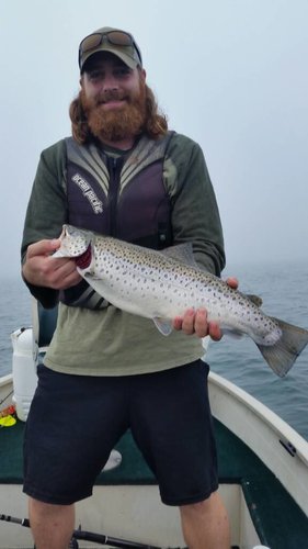 20180912_082222.jpg