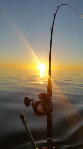 20180915_190438.jpg