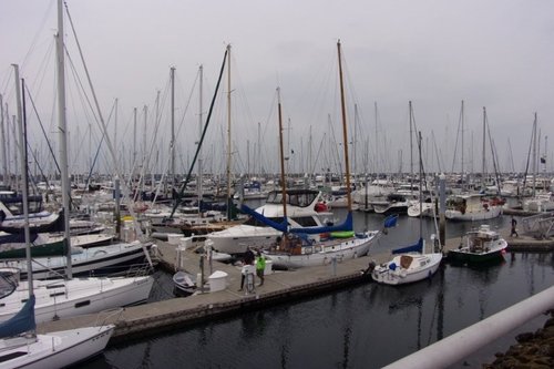 207837528_Seattlefishing201819a.thumb.JPG.133d63842f9072a4dfc9ac475a3670d0.JPG