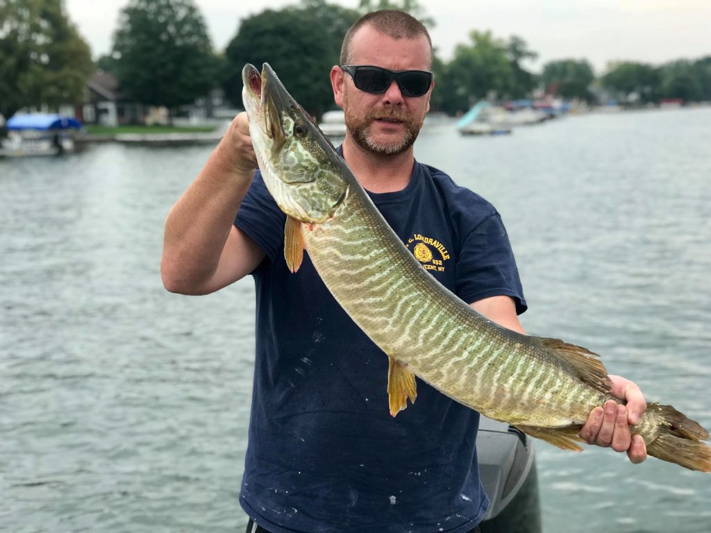 Conesus late August September Musky, Tiger Musky & Pike (ESOX) Lake
