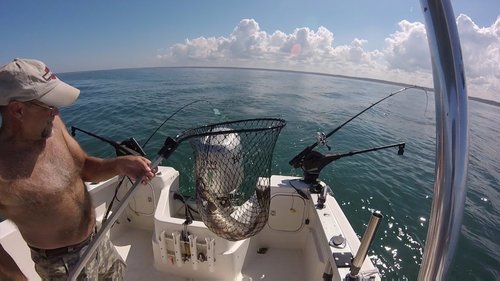 GOPR0830.jpg