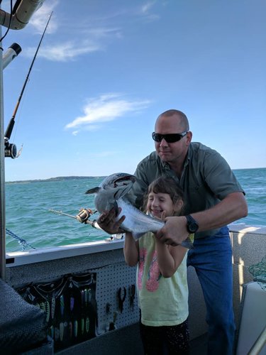IMG_20180903_093850.thumb.jpg.830093ea47024a7bd5315d91125dc240.jpg