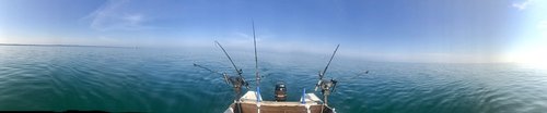 IMG_3865.JPG