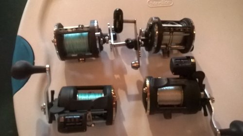 Reels.jpg