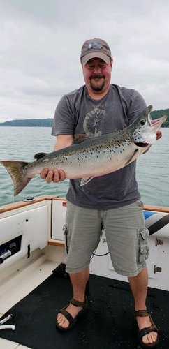 1639669171_bigsalmon2.thumb.jpg.9684a3aaa6e8df171719dc5fd66b9ffa.jpg