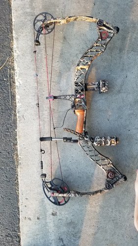 20180807_194028.thumb.jpg.4bf4c27fd62d471857b8105563706c15.jpg