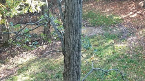 20181014_162906.jpg