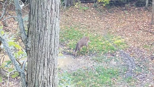 20181014_170849.jpg