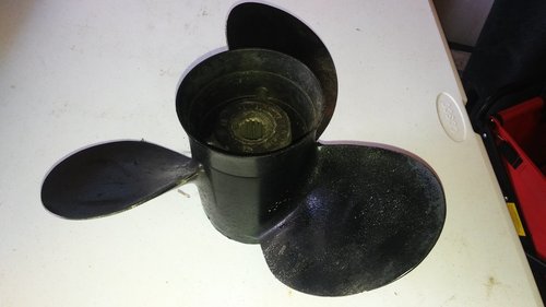 20181016_104413.jpg
