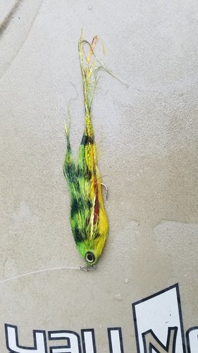 20181029_030814.jpg