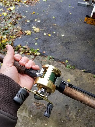 20181029_125400.jpeg