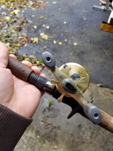 20181029_125402.jpeg