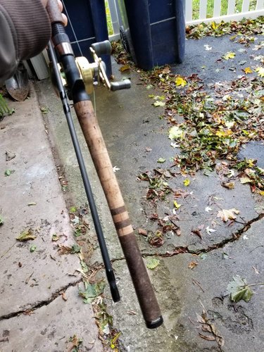 20181029_125438.jpeg