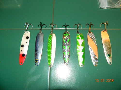 DSCN0779.JPG