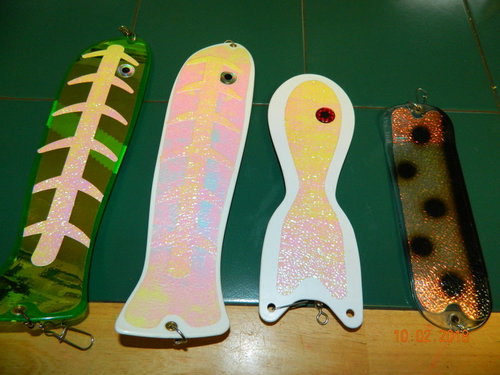 DSCN0781.JPG